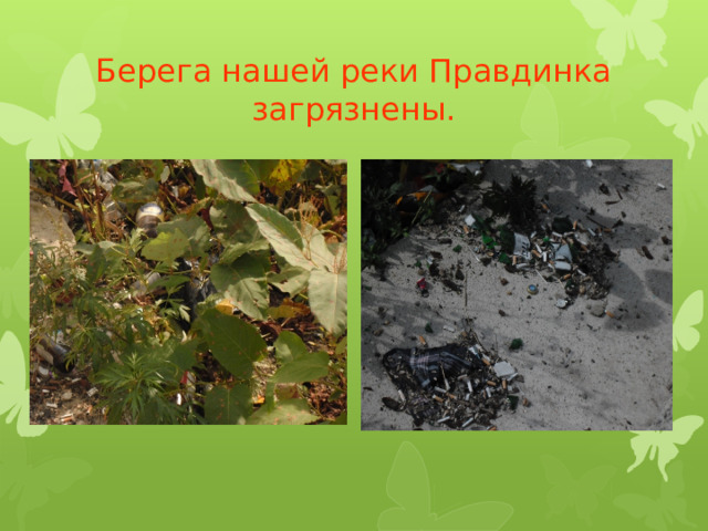 Берега нашей реки Правдинка загрязнены. 