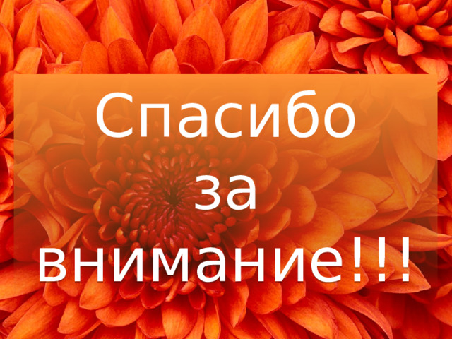 Спасибо за внимание!!! 