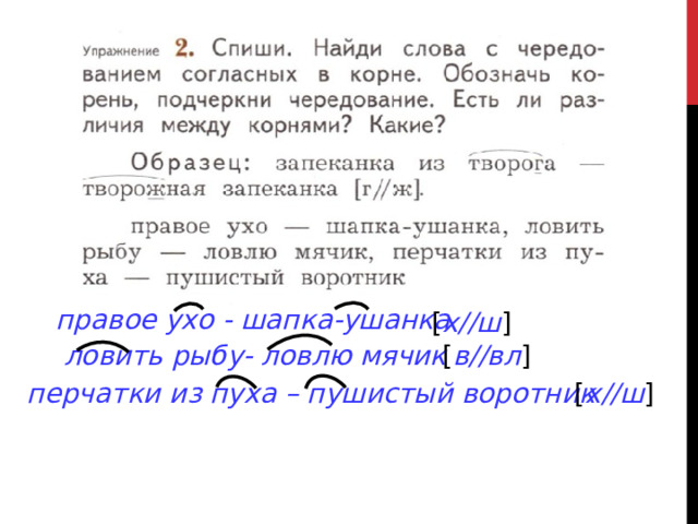 Презентация буквы е и в корнях с чередованием 5 класс ладыженская