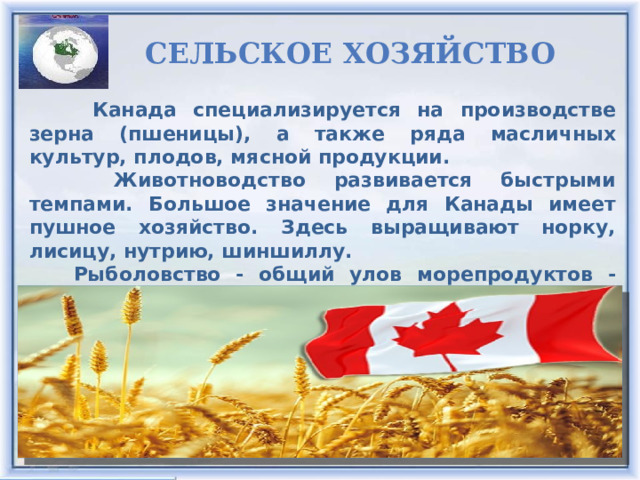 Сельское хозяйство  Канада специализируется на производстве зерна (пшеницы), а также ряда масличных культур, плодов, мясной продукции.  Животноводство развивается быстрыми темпами. Большое значение для Канады имеет пушное хозяйство. Здесь выращивают норку, лисицу, нутрию, шиншиллу.  Рыболовство - общий улов морепродуктов - около 1,5 млн. тонн в год. Все кнопки связаны со слайдами через гиперссылки  