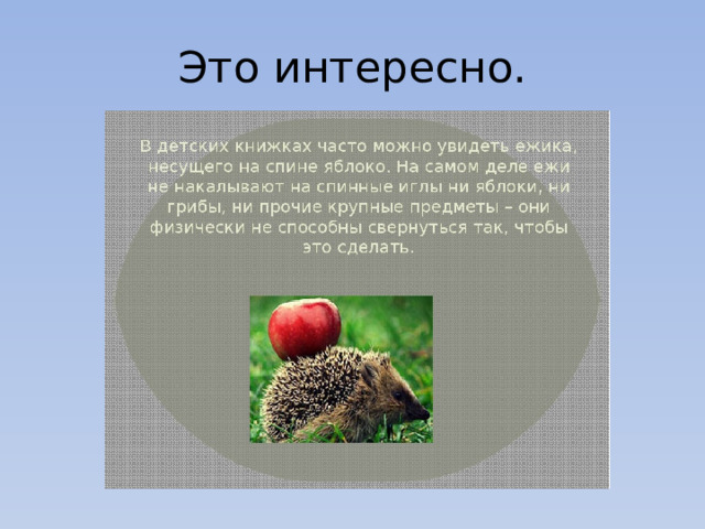 Это интересно. 