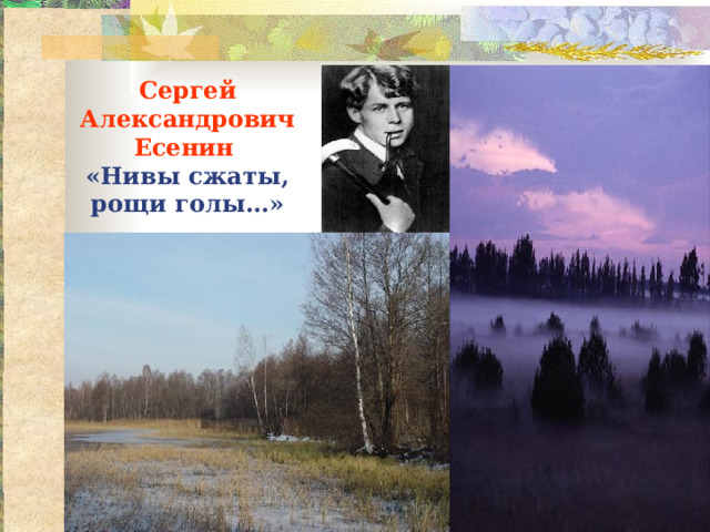 Сергей Александрович Есенин   «Нивы сжаты, рощи голы…» 