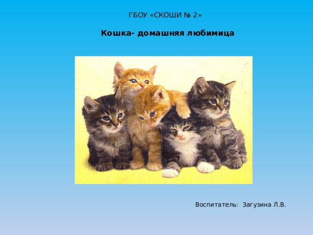 ГБОУ «СКОШИ № 2» Кошка- домашняя любимица Воспитатель: Загузина Л.В.  