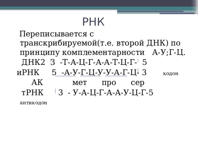  РНК  Переписывается с транскрибируемой(т.е. второй ДНК) по принципу комплементарности А-У;Г-Ц.  ДНК2 3 -Т-А-Ц-Г-А-А-Т-Ц-Г- 5  иРНК 5 -А-У-Г-Ц-У-У-А-Г-Ц- 3 кодон  АК мет про сер  тРНК 3 - У-А-Ц-Г-А-А-У-Ц-Г-5 антикодон  