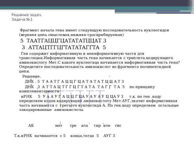 Решение задач.  Задача №1  Фрагмент начала гена имеет следующую последовательность нуклеотидов (верхняя цепь смысловая,нижняя-траскрибируемая)  5 ТААТГАЦЦГЦАТАТАТЦЦАТ 3  3 АТТАЦТГГЦГТАТАТАГГТА 5  Ген содержит информативную и неинформативную части для трансляции.Информативная часть гена начинается с триплета,кодирующего аминокислоту Мет.С какого нуклеотида начинается информативная часть гена?Определите последовательность аминокислот во фрагмента полипептидной цепи.  Решение.  ДНК 5 Т А А Т Г А Ц Ц Г Ц А Т А Т А Т Ц Ц А Т 3  ДНК 3 А Т Т А Ц Т Г Г Ц Г Т А Т А Т А Г Г Т А 5 по принципу комплементарности  иРНК 5 У А А У Г А Ц Ц Г ЦА У А У А У Ц ЦА У 3 т.к. по ген .коду определяем кодон кодирующий аминокислоту Мет-АУГ,значит информативная часть начинается с третьего нуклеотида А. По ген.коду определяем остальные закодированные аминокислоты.  АК мет тре ала тир иле гис Т.к.иРНК начинается с 5 конца,тогда 5 АУГ 3 