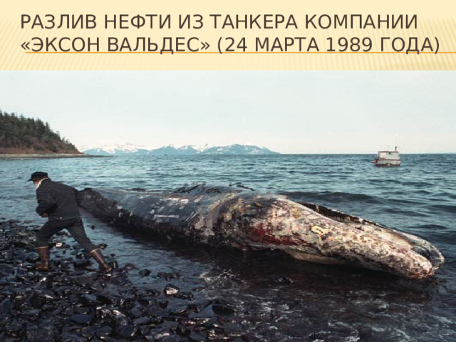 Разлив нефти из танкера компании «Эксон вальдес» (24 марта 1989 года) 