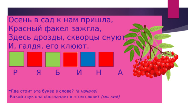 Осень в сад к нам пришла,   Красный факел зажгла,   Здесь дрозды, скворцы снуют,   И, галдя, его клюют.     Р Я Б И Н А   - Где стоит эта буква в слове? (в начале)  -Какой звук она обозначает в этом слове? (мягкий)   