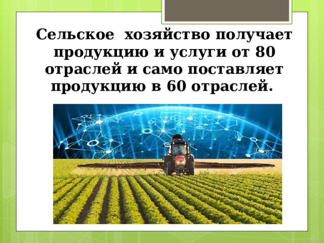 Сельское хозяйство получает продукцию и услуги от 80 отраслей и само поставляет продукцию в 60 отраслей. 