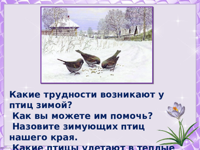 Какие трудности возникают у птиц зимой?  Как вы можете им помочь?  Назовите зимующих птиц нашего края.  Какие птицы улетают в теплые края?   