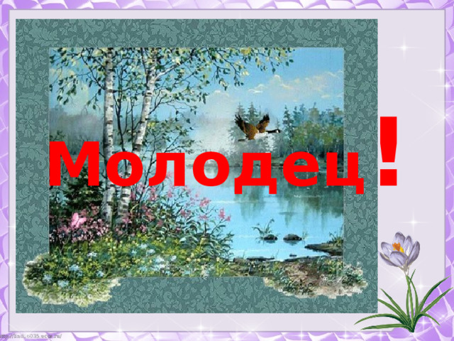 Молодец ! 