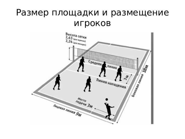 Площадь волейбольной площадки площадь тетрадного листа площадь письменного стола площадь города