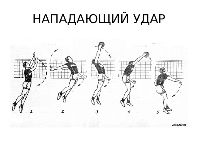 План конспект по волейболу 10 класс