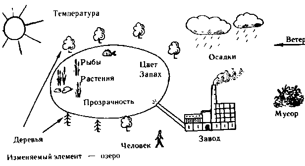 Построить схему и описать модель естественного природного ландшафта местности с учетом антропогенных