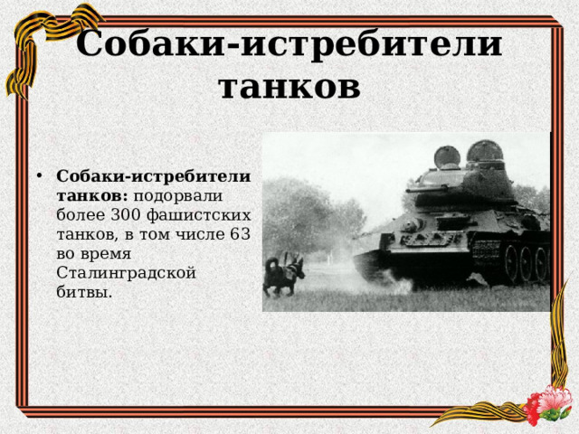 Собаки истребители танков фото