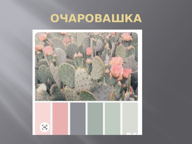 ОЧАРОВАШКА 