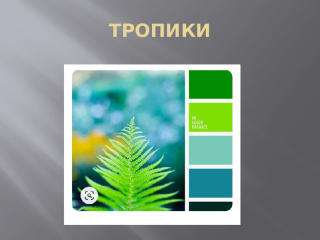 ТРОПИКИ 