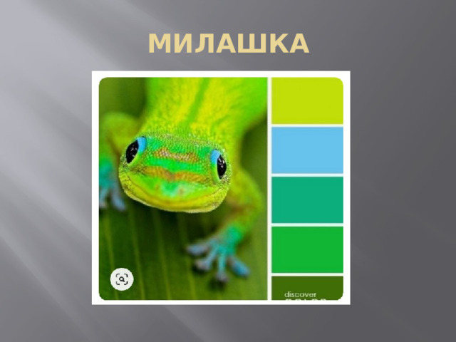 МИЛАШКА 