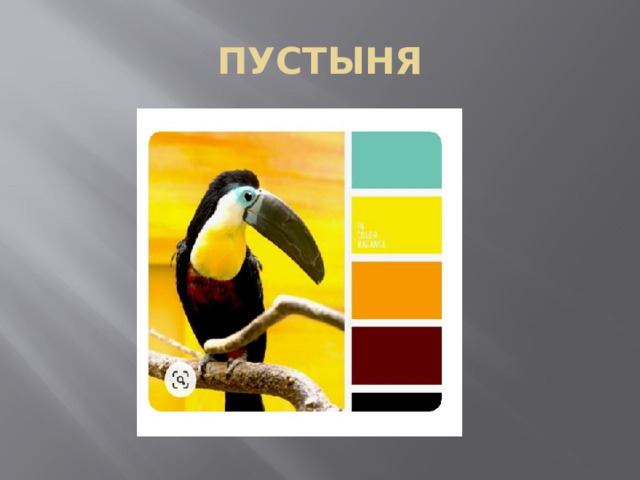 ПУСТЫНЯ 