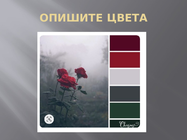 ОПИШИТЕ ЦВЕТА 