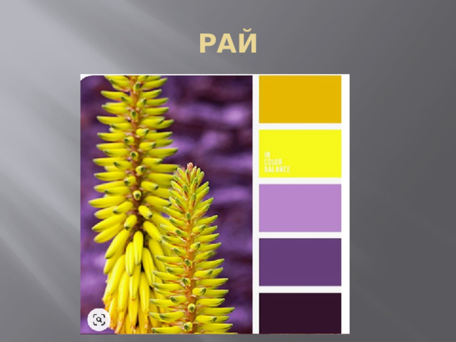 РАЙ 