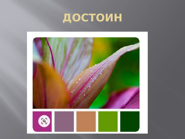 ДОСТОИН 