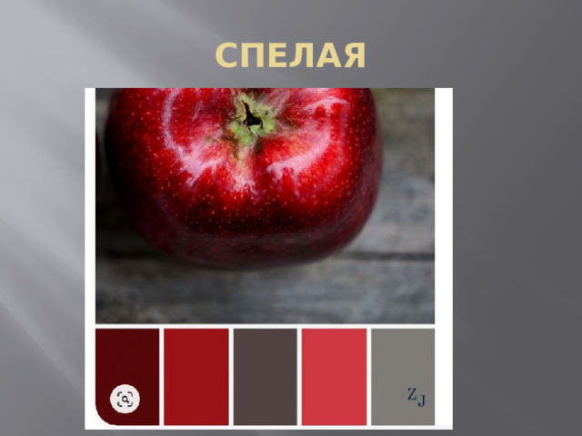 СПЕЛАЯ 