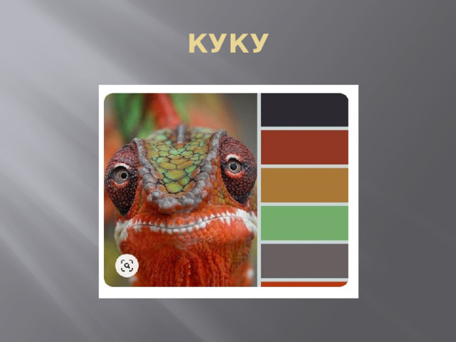 КУКУ 