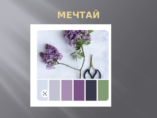 МЕЧТАЙ 