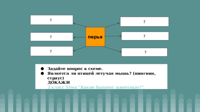  ?  ? перья  ?  ?  ?  ? Задайте вопрос к схеме. Является ли птицей летучая мышь? (пингвин, страус) ДОКАЖИ 2 класс Тема “Какие бывают животные?” 