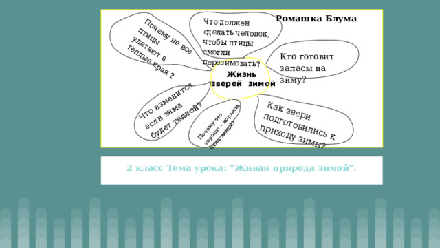 Как звери подготовились к приходу зимы? Почему это хорошо – кормить птиц зимой? Что изменится, если зима будет тёплой? Почему не все птицы улетают в тёплые края ? Что должен сделать человек, чтобы птицы смогли перезимовать? Ромашка Блума  Жизнь  зверей зимой Кто готовит запасы на зиму? 2 класс Тема урока: “Живая природа зимой”. 