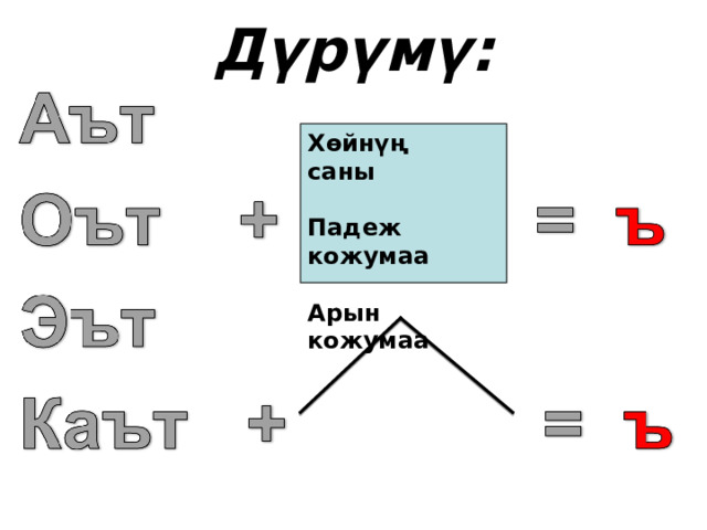 Дүрүмү: Хөйнүң саны  Падеж кожумаа  Арын кожумаа 