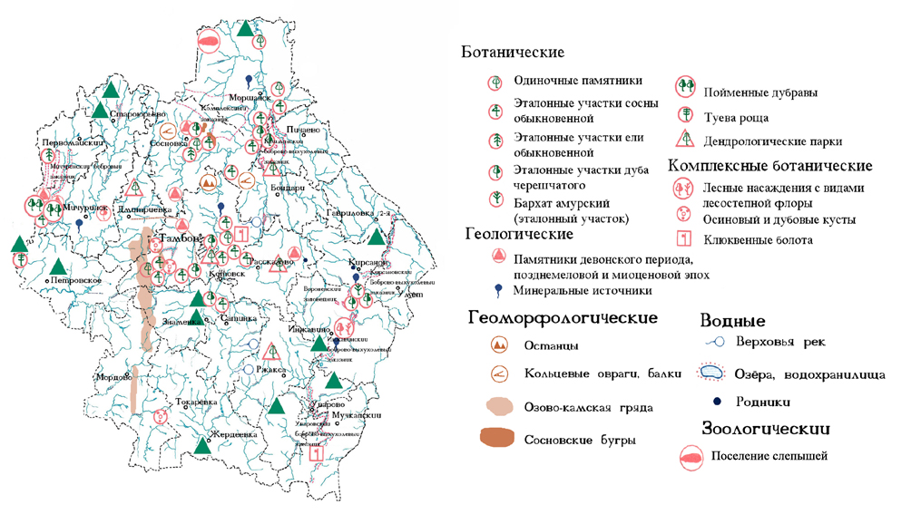 Карта лесов тамбовской области