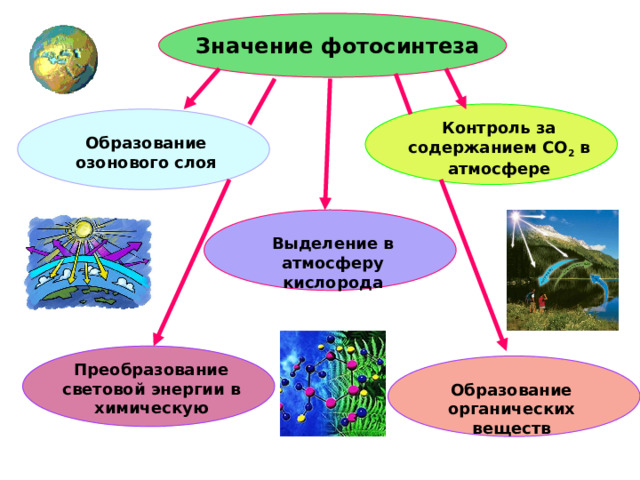 Фотосинтез 11 класс биология презентация