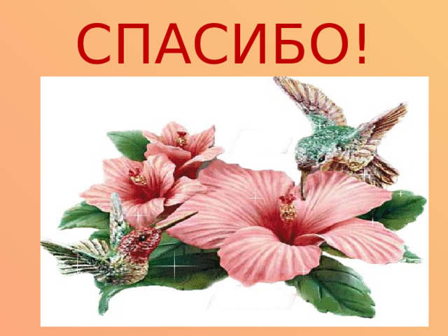 СПАСИБО! 