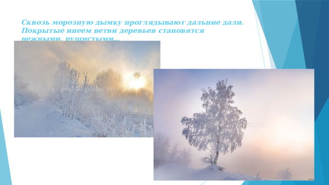 Сквозь морозную дымку проглядывают дальние дали.  Покрытые инеем ветви деревьев становятся нежными, пушистыми… 