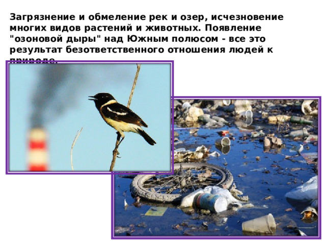 Загрязнение и обмеление рек и озер, исчезновение многих видов растений и животных. Появление 