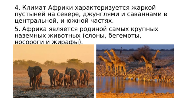 4. Климат Африки характеризуется жаркой пустыней на севере, джунглями и саваннами в центральной, и южной частях. 5. Африка является родиной самых крупных наземных животных (слоны, бегемоты, носороги и жирафы). 