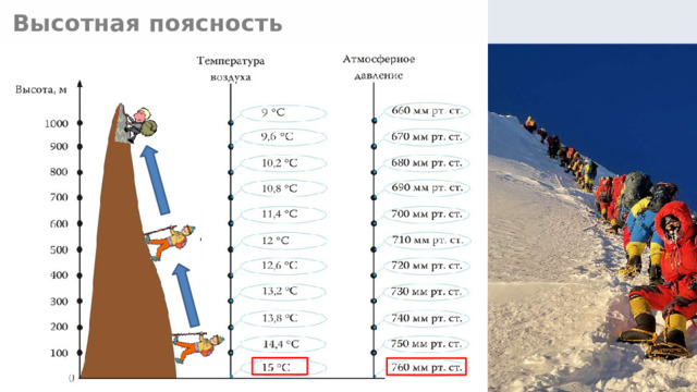 Высотная поясность 10 
