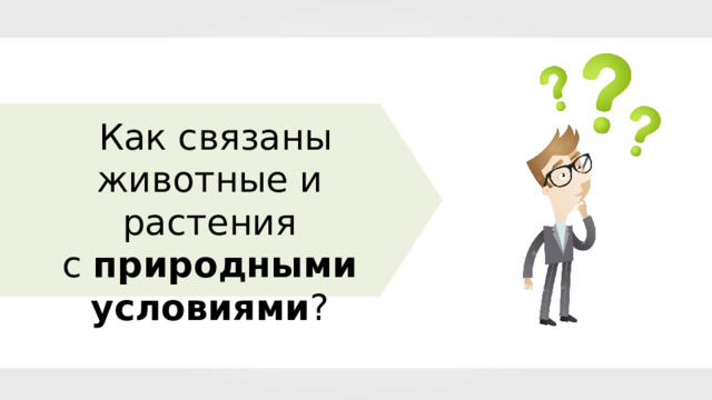 Высотная поясность в горах Кавказа Чем выше горы, тем  больше набор  природных зон  (многоэтажность). 10 