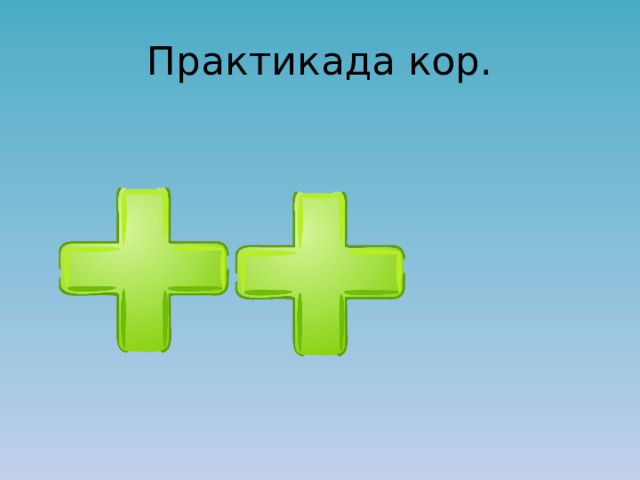 Практикада кор. 