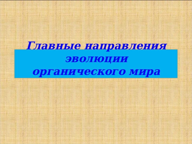 Главные направления эволюции презентация 11 класс