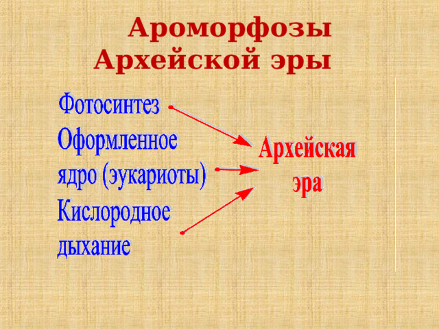 Главные направления эволюции 9 класс презентация