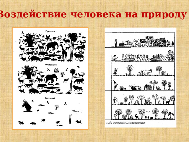 Воздействие человека на природу 