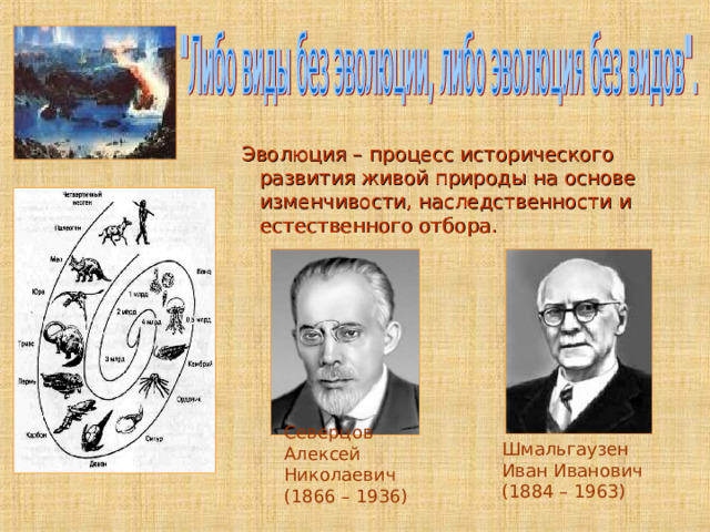 Эволюция – процесс исторического развития живой природы на основе изменчивости, наследственности и естественного отбора. Эволюция – процесс исторического развития живой природы на основе изменчивости, наследственности и естественного отбора. Эволюция – процесс исторического развития живой природы на основе изменчивости, наследственности и естественного отбора. Эволюция – процесс исторического развития живой природы на основе изменчивости, наследственности и естественного отбора. Эволюция – процесс исторического развития живой природы на основе изменчивости, наследственности и естественного отбора. Северцов Алексей Николаевич (1866 – 1936) Шмальгаузен Иван Иванович (1884 – 1963) 