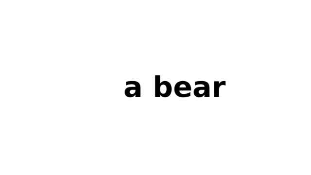 a bear 