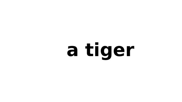  a tiger 