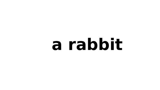  a rabbit 