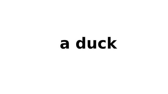 a duck 