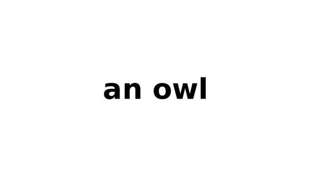 an owl 