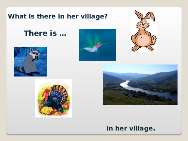 What is there in her village? There is … in her village . 